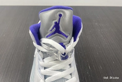 DD0587-141 Fashionable CONCORD Air Jordan5 587 0730
